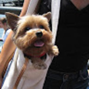 Meet your Posher, Tina